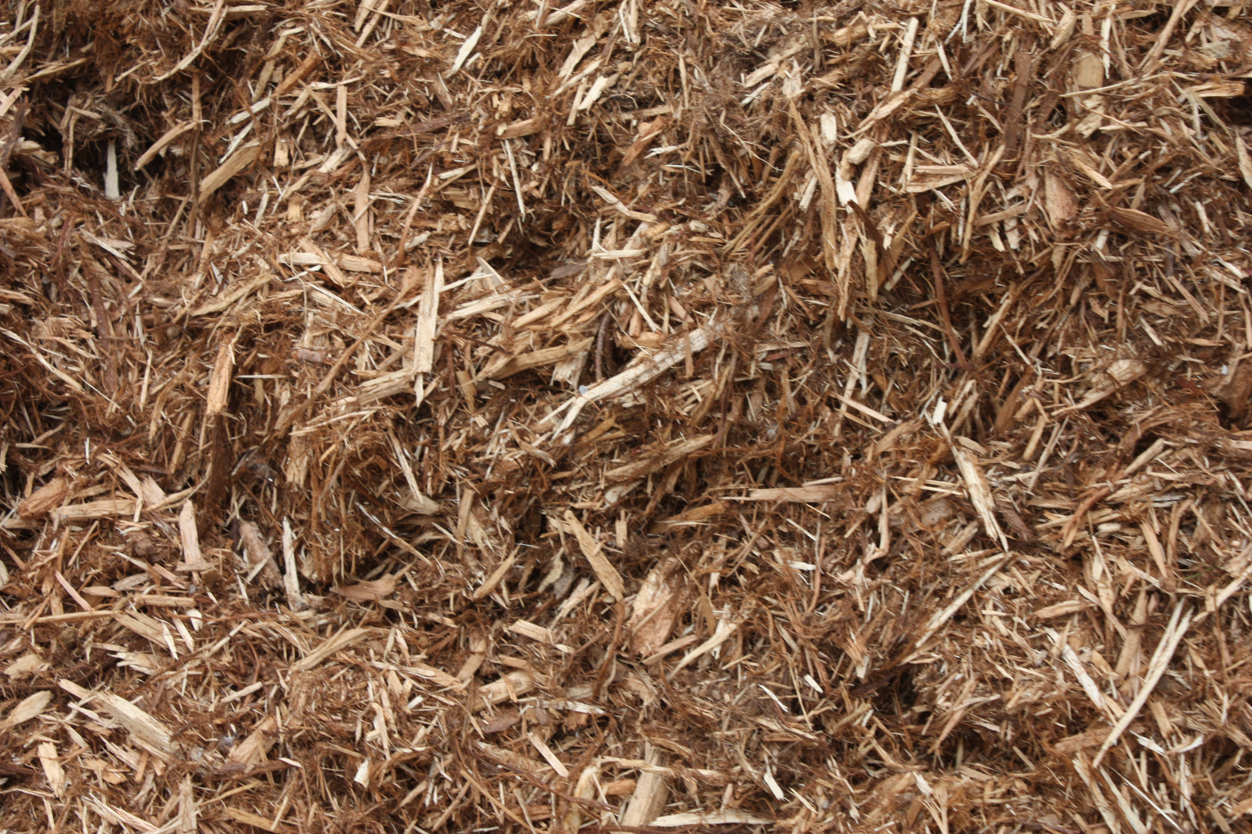 top 28 is cedar mulch ez landscaping solutions cedar mulch chaney s nursery cedar mulch top 28 is cedar mulch ez landscaping solutions cedar mulch chaney s nursery cedar mulch